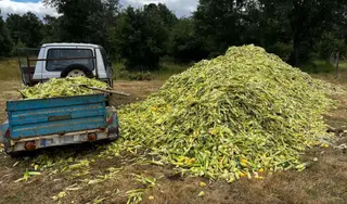 Un reparto de alimentos en la Sierra de la Culebra. Archivo