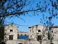 Aceñas de Olivares, Zamora. Sol. 