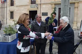 Madroños para recibir la primavera