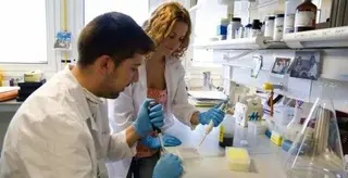 Los contratos de formación se reducen en Zamora en el primer semestre del año