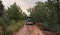Limpieza y prevención: Rabanales prepara sus caminos frente al riesgo de incendios