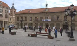 Dia de la mujer Benavente