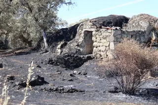 Consecuencias del incendio de Fermoselle