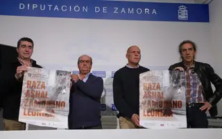 Medio centenar de buches se exhibirán este sábado en la renovada feria de San Vitero