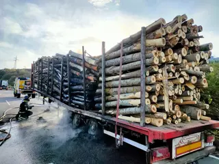 Arde un camión cargado con troncos de madera en la A-52 en Zamora