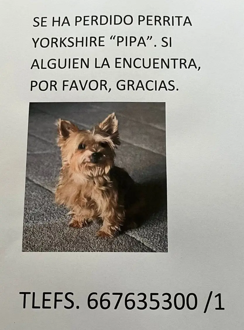 Fotografía de Pipa