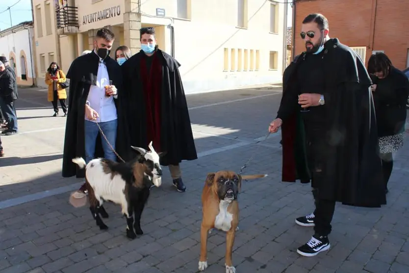 Cabra bendecida en Arcenillas