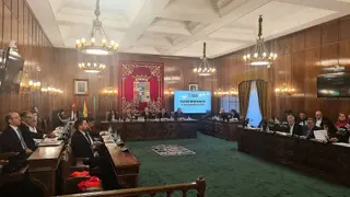Celebración del pleno ordinario de noviembre de la Diputación de Zamora | Diputación de Zamora