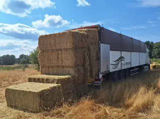 La Junta suministra alimentos a 29 ganaderías de Zamora afectadas por los incendios