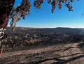 Paisaje quemado por el que pasará la ruta BTT Caññones del Duero de Fermoselle | Foto: Redes Sociales Ruta BTT Cañones del Duero