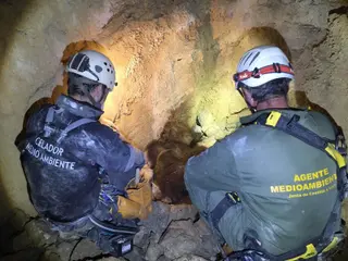 Hallan en una sima vertical de la Montaña Palentina, a 33 metros de profundidad, los restos de la osa despeñada y dos crías desaparecidas en junio