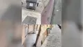 Suciedad en las calles de Benavente