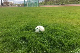 Cesped ciudad deportiva