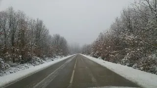 Nevadas Zamora Diputación (2)