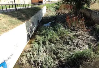 UPL denuncia vertidos fecales en el arroyo de Olivares