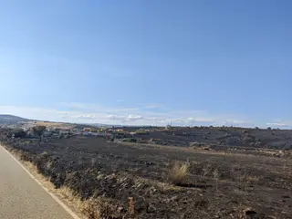 Las heridas del fuego en Losacio (39)