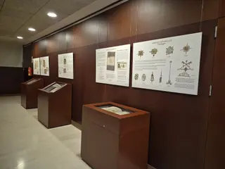 El Archivo Histórico de Zamora mantiene hasta septiembre su particular gabinete de curiosidades