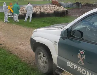 Explotación ganadera de Tierra del Pan