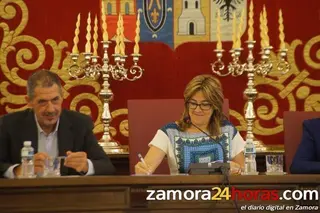El PP copa la representación en los órganos colegiados