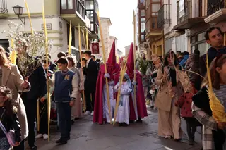 Procesión de La Borriquita el pasado Domingo de Ramos | Víctor Garrido