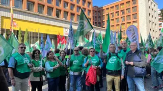 Trabajadores de Sanidad de Castilla y León exigen en Madrid a Mónica García un nuevo Estatuto Marco
