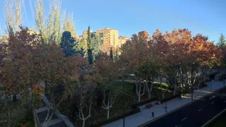 Jornada soleada en Zamora. Archivo