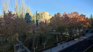 Jornada soleada en Zamora. Archivo