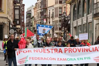 Multitudinaria manifestación de Zamora en Pie el pasado mes de mayo. Archivo