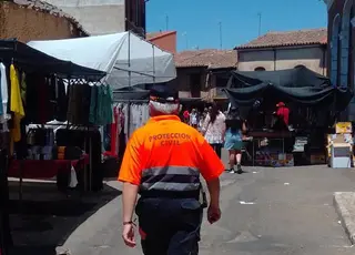 Mercadillo toro (2)