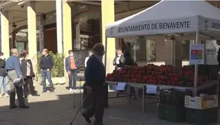 Feria del Pimiento
