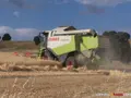 Cosechadora en una parcela de avena campañas anteriores. ARCHIVO