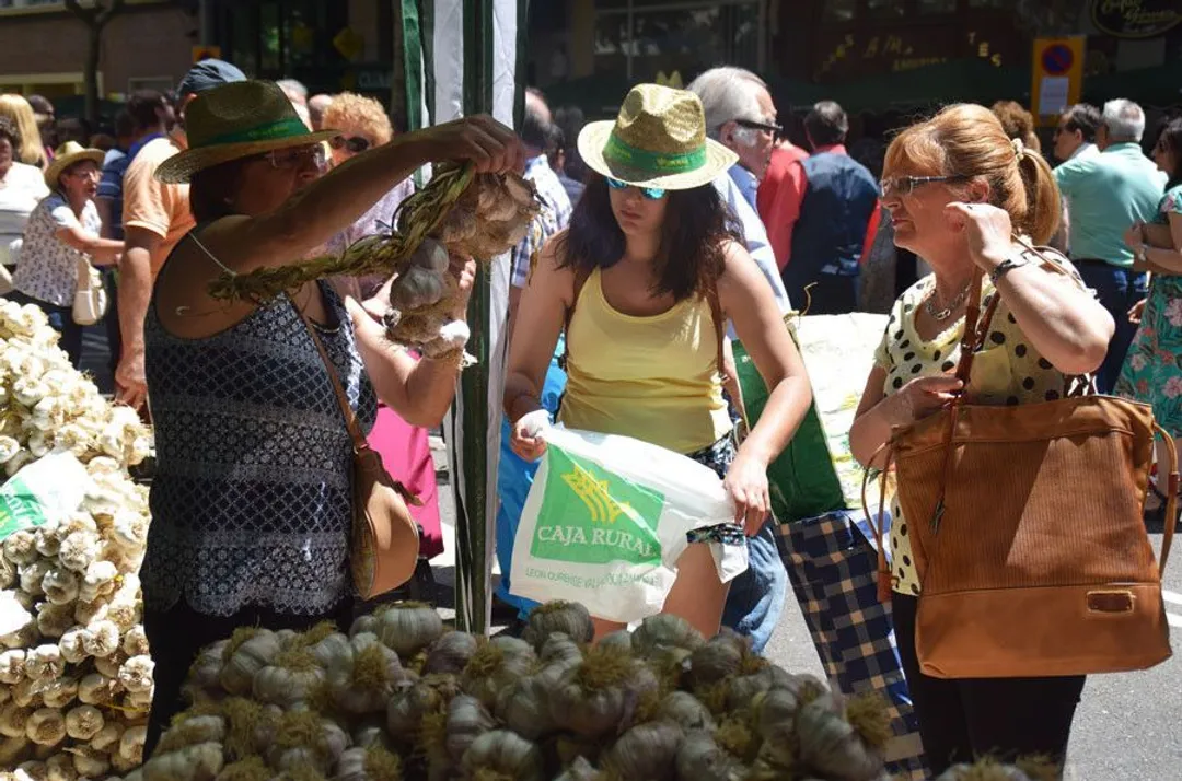 Fiestas de San Pedro