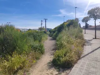 Imagen del entorno de la estación