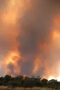 Incendio de Fermoselle. FOTO: Javi S. Fraile