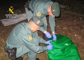 Agentes del SEPRONA durante la actuación