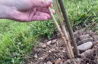 VÍDEO | El hartazgo de Tomás del Bien ante el vandalismo que se vive en Toro: "¡Ya está bien!"