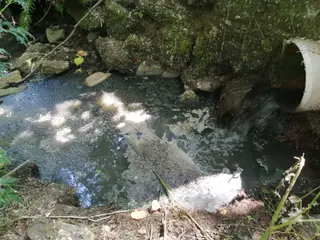 Imagen de la zona-Ecologistas en Acción