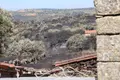 Imagen de la zona afectada tras el paso del incendio de Fermoselle