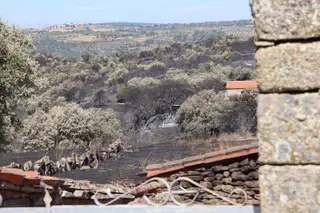 Imagen de la zona afectada tras el paso del incendio de Fermoselle