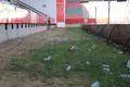 Suciedad Ruta De La Plata