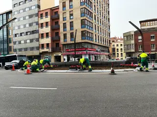 Operarios reponen las flores dañadas en la Plaza de Alemania