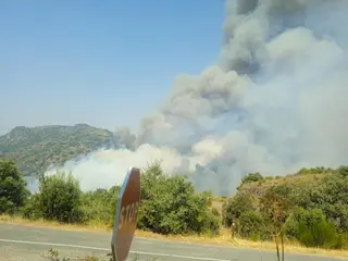 Imágenes del incendio