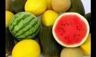 Utilización especulativa del veto ruso para hundir la cotización de melones y sandías