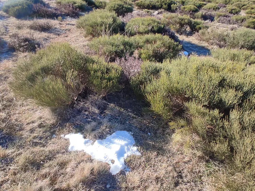 La Laguna de Peces, parcialmente congelada este miércoles (4)