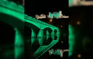 Puebla de Sanabria iluminada de verde. Foto Colegio Oficial de Farmacéuticos de Zamora