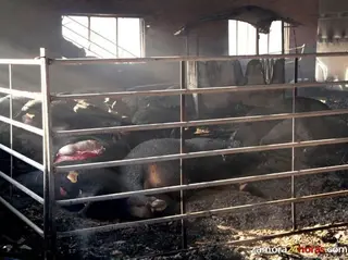 La Diputación de Zamora habilitará una línea de ayudas directas para los agricultores y ganaderos afectados por el incendio de los Arribes del Duero