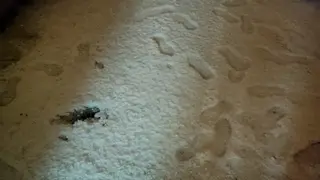 Tormenta de granizo esta madrugada en Zamora