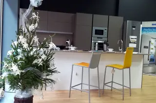 Abeto navidad comercio