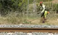 Imagen De Los Trabajos De Prevención De Incendios En Las Vías Del Tren 