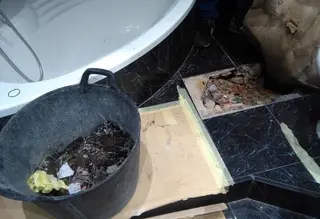 Las raíces de un árbol de Cardenal Cisneros se cuelan en una vivienda y levantan el suelo de un baño